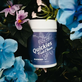 Fruit Chew - Quickies - Blueberry [~100mg, 20pk] by Quickies Full Spectrum