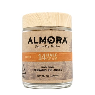 ALMORA — Cherry Punch