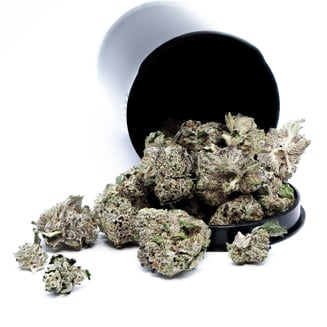 Da Glue by Cure Oahu