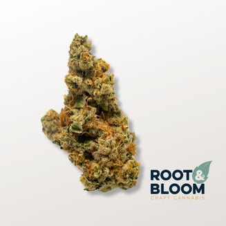 Lemonhead Delight by Root & Bloom