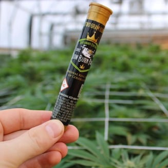 Devil's Xandy [1g] by Slow Burn
