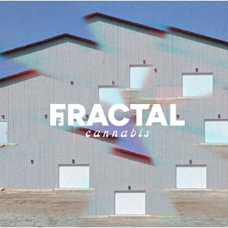 Kaleidoscope Eyes by Fractal Cannabis
