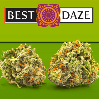 Black Ice by Best Daze