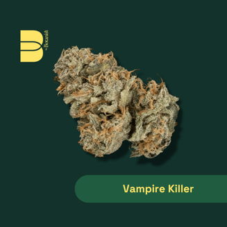 Vampire Killer by Botanist