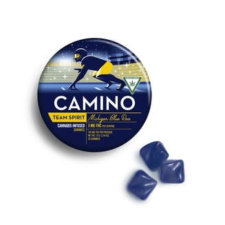 'Team Spirit' Michigan Blue Raz [20pk] (100mg) by Camino