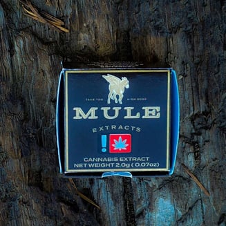 Apple Cough by Mule Extracts