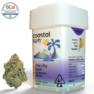 Coastal Sun — Cap City Kush