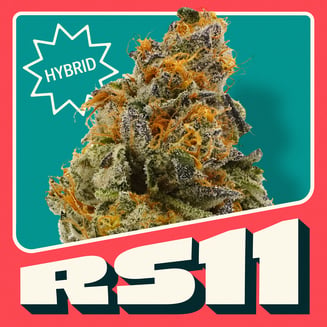 RS11 [14.15g] by Neighborgoods