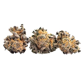 Van Helsing by Chronicseur Farms