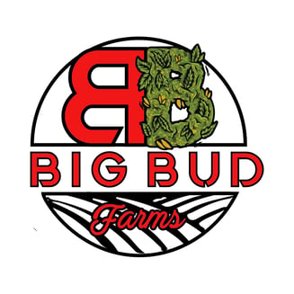 Platinum OG by Big Bud Farms