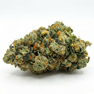 Sour Garlic by Flower Foundry