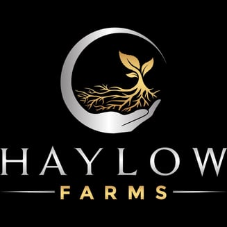 9 Lions by Haylow Farms
