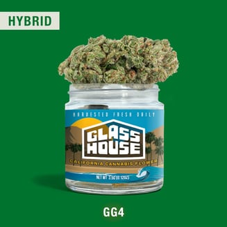 Glass House Farms — Gg4