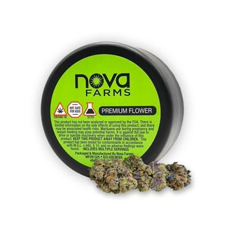 D Sailor by Nova Farms