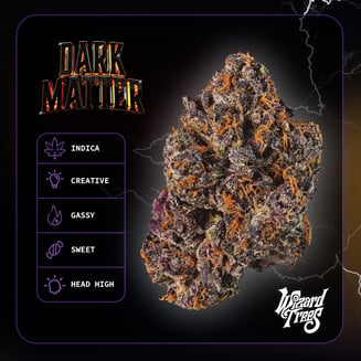 WIZARD TREES — Dark Matter