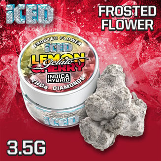 ICED — Lemon Cherry Gelato