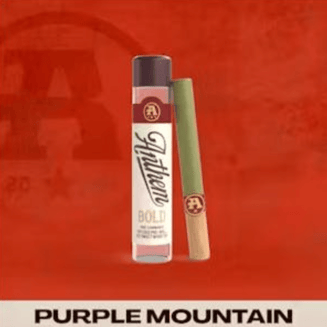 Bold Infused Purple Mountain [1g] by Anthem