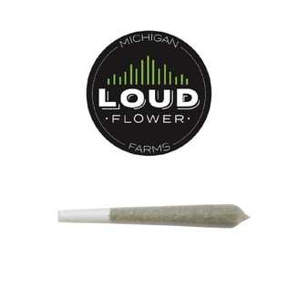 Apple Fritter [1g] by Michigan Loud Flower Farms