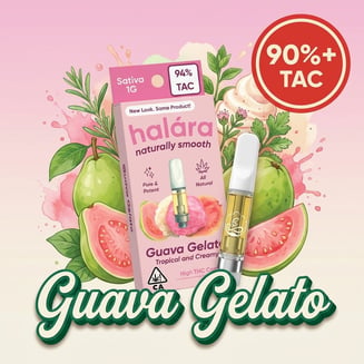 Halara — Guava Gelato