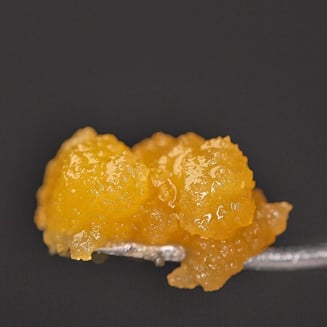 88 G-13 x Jelly Roll by Element Extracts