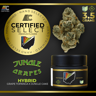 Jungle Grapes by CERTIFIED
