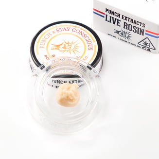 Punch — Poochie S Papaya 5.0