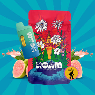 Shop Lime Sorbet 1g vape – Champaign, IL