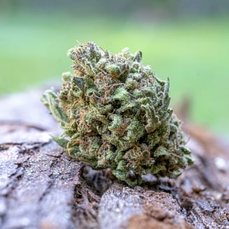 Farm Cut — Blueberry Boost