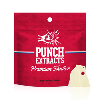 Punch — Lemon Drop Top