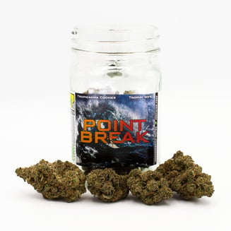 Point Break by Phat Panda