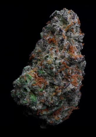 Dairy Queen by True North Collective