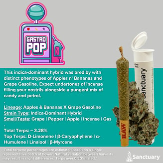 Pre-Roll - Gastro Pop [1g] by Sanctuary
