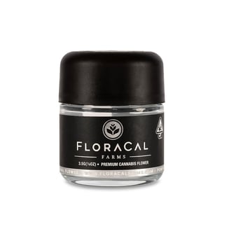 Slow Disco by FloraCal™