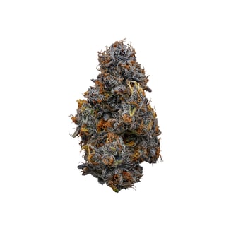 GMO x OZ Kush Bx2 by Good Day Farm
