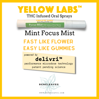 Yellow Springs Mint (220mg) by BeneLeaves