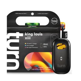 turn — King Louis Xiii