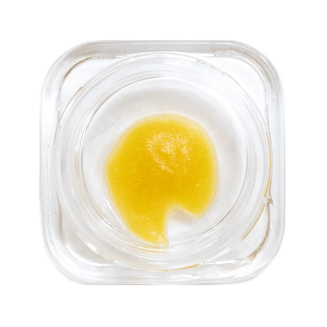 New Yorker by Goldsmith Extracts
