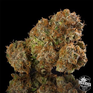Mandarin Cookies by Urban Wellness