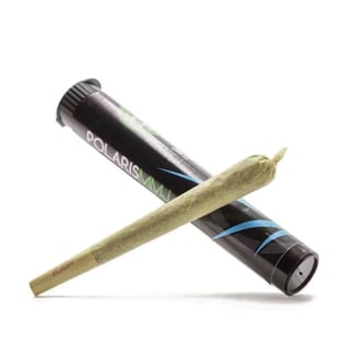 Cream Cookie Mintz [1g] by Polaris