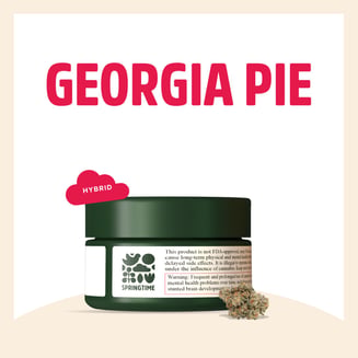 Georgia Pie by Springtime
