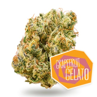 Grapefruit Gelato by District Cannabis