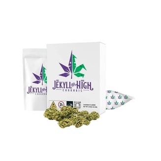 Back Yard Boys Club by Dr. Jekyll and Mr. High