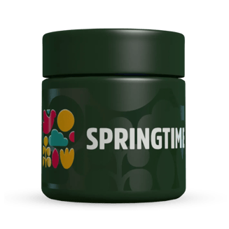64 Runtz by Springtime