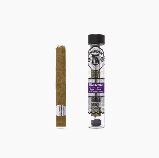 El Blunto — Rose Gold - - Morado
