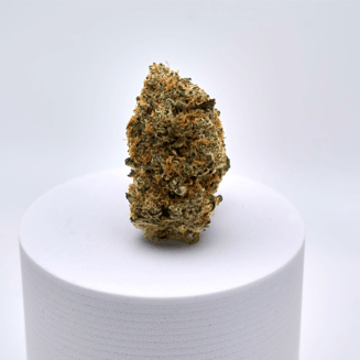 Apes in Space #3 by Bonsai Buds