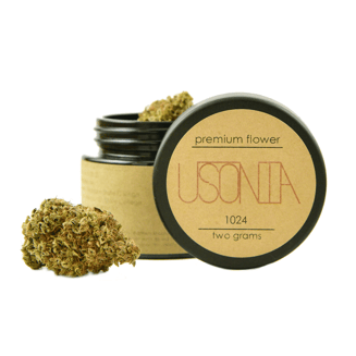 1024 [2g] by USONIA