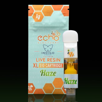 Haze by Echo Electuary