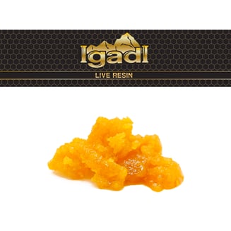 Jack Fruit by IgadI