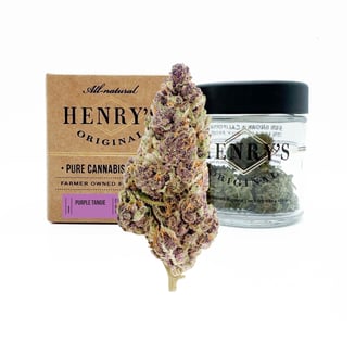 Henry's Original — Purple Tangie