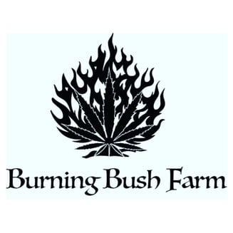 Apple Blossom [.5g] by Burning Bush Farm